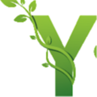 YDM