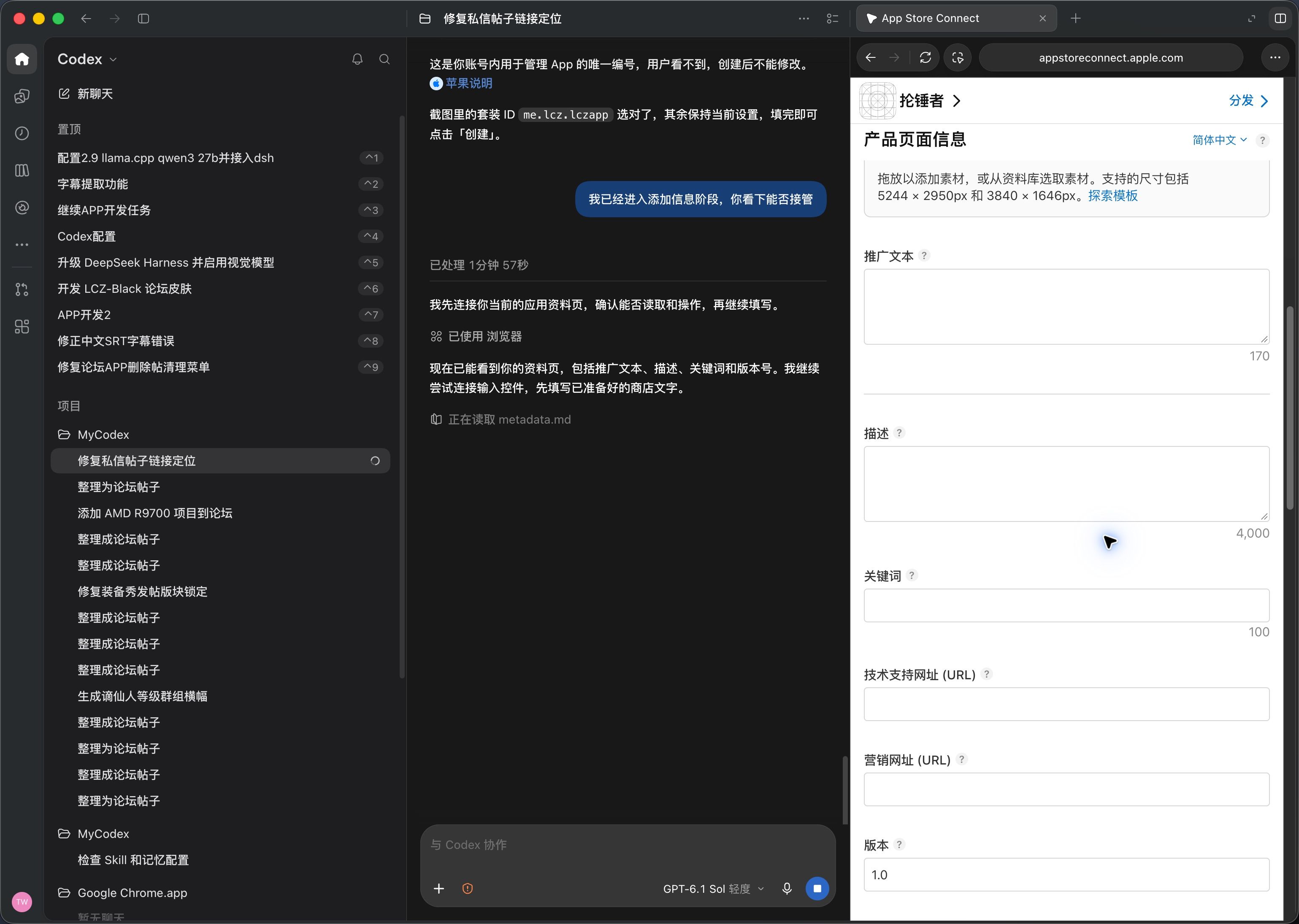 codex填写苹果上架信息.jpeg