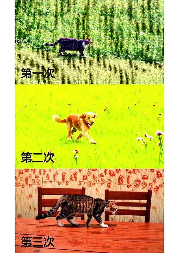 testing.jpg