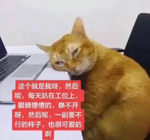 bd092f844b7ffd7d8f1c463e2e96f6b3.jpg