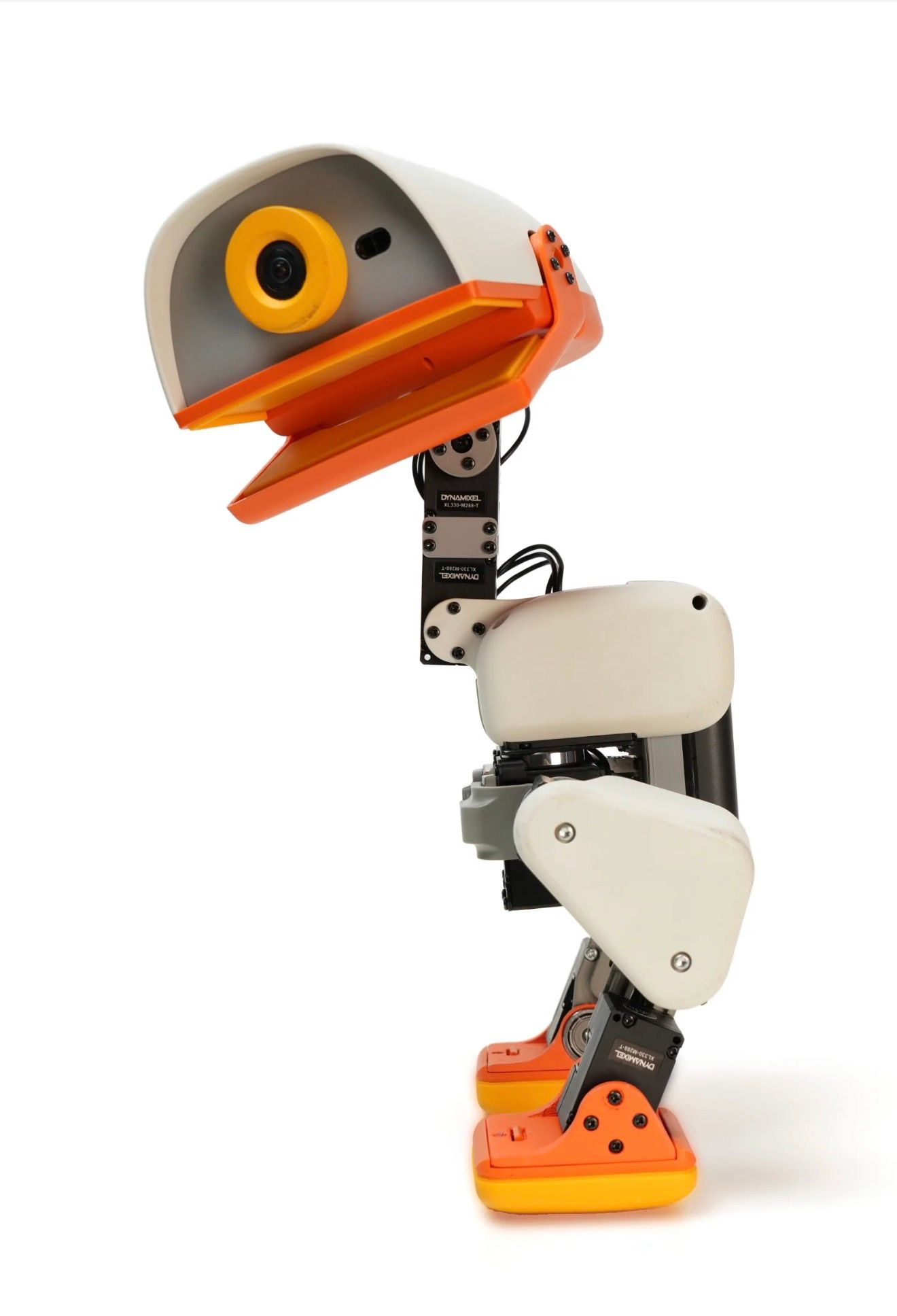 MD04.jpeg