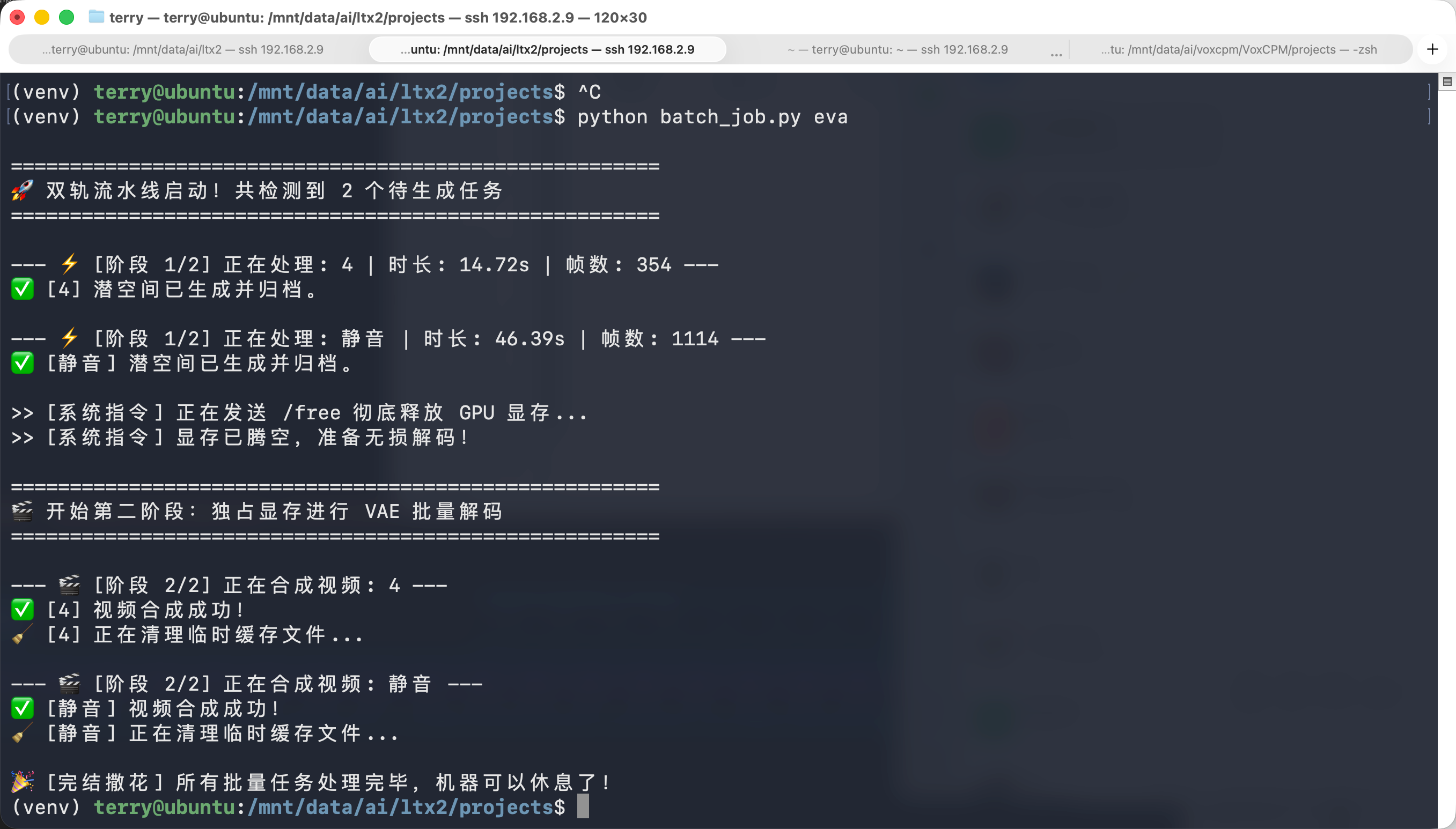 AI视频批量.png