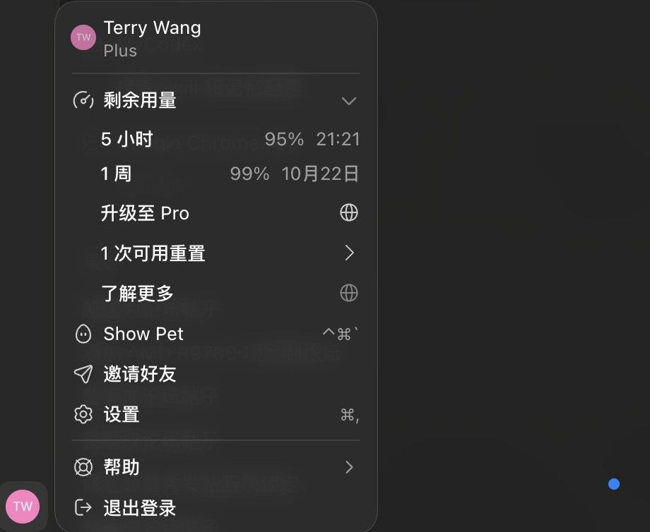 Codex订阅